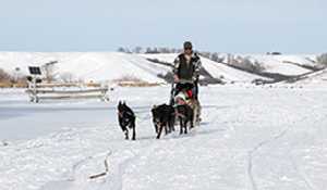 Winter Wonderland this Sunday at Moosomin Regional Park